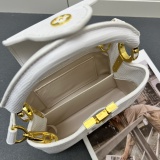 Louis Vuitton Classic LV Letter Lizard Leather Mini Handbag Size：21 x 14 x 8 CM