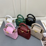 Louis Vuitton Classic LV Letter Lizard Leather Mini Handbag Size：21 x 14 x 8 CM