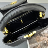 Louis Vuitton Classic LV Letter Lizard Leather Mini Handbag Size:27 x 18 x 9 CM