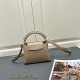 Louis Vuitton Classic LV Letter Lizard Leather Mini Handbag Size：21 x 14 x 8 CM