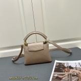 Louis Vuitton Classic LV Letter Lizard Leather Mini Handbag Size：21 x 14 x 8 CM