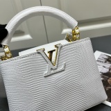 Louis Vuitton Classic LV Letter Lizard Leather Mini Handbag Size：21 x 14 x 8 CM