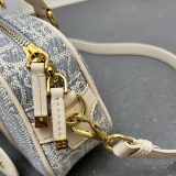 Dior New Mini Blue Oblique Printed Handbag Crossbody Bag Size: 20.5 x13x 5 CM