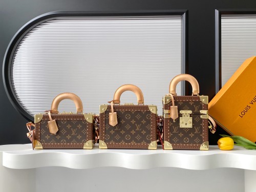 Louis Vuitton New Classic Vintage Hardbox Handbag Crossbody Bag