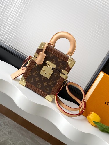 Louis Vuitton New Classic Vintage Hardbox Handbag Crossbody Bag