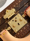 Louis Vuitton New Classic Vintage Hardbox Handbag Crossbody Bag