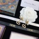 Dior New Fashion Full Diamond CD Earrings