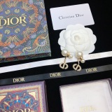 Dior New Fashion Full Diamond CD Earrings