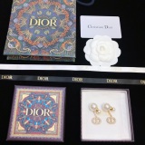 Dior New Fashion Full Diamond CD Earrings