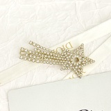 Dior New Fashion Versatile Diamond Meteor Hair Clip