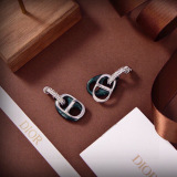 Dior New Fashion Versatile CD Letter Earrings