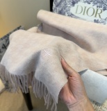 Dior New Couple's Classic Embroidered Bee Tassel Scarf Size: 32 x 180 CM