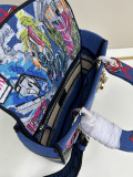 Dior Fashion Embroidered Handbag Diagonal Cross Bag Size: 24 x 20 x 11 CM