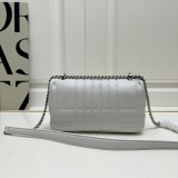 Burberry Classic TB Chain Crossbody Bag Lola Bag Size: 23 x 13 x 6 CM