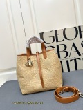 Dior Fashion Tengge Pattern Lafite Grass Vertical Edition Handbag Crossbody Bag