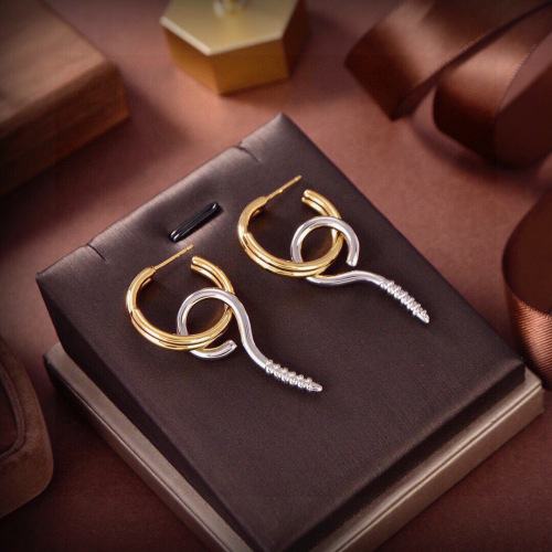 Balenciaga New Fashion Versatile Screw Earrings