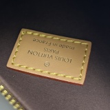 Louis Vuitton Mini Classic Logo Diagonal Cross Handbag Size: 18x12.5x8.5 CM
