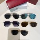 Gucci Fashion Personalized Toad Mirror Sunglasses Size: 55-16-145