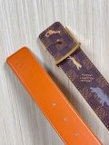 Louis Vuitton Fashion Fun Animal Casual Versatile Double Sided Belt 40 x 85 MM