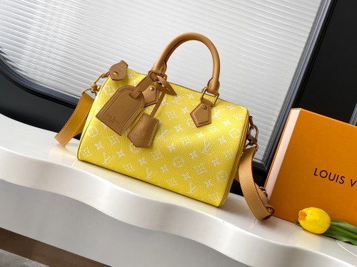 Louis Vuitton Fashion Logo Printed Handbag Crossbody Bag Size: 25 x 15 x 15 CM