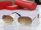 Cartier Fashion Versatile Glasses Model: CT0599S Size: 56-20-145