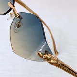 Cartier Fashion Personalized Versatile Glasses Model: CT02041O Size: 60-17-135