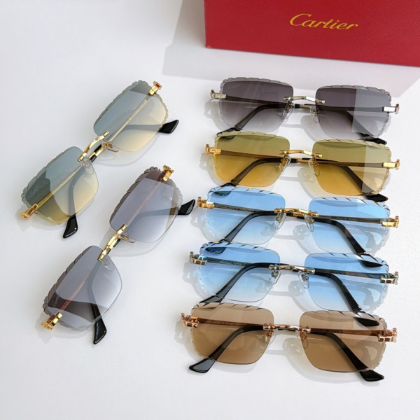 Cartier Fashion Personality Versatile Frameless Glasses Model: CT0805S