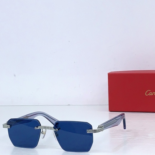 Cartier Fashion Personalized Versatile Glasses Model: CT0539S Size: 145