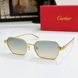 Cartier Fashion Versatile Glasses Model: CT0496S Size: 59-17-140