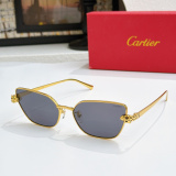 Cartier Fashion Versatile Glasses Model: CT0495S Size: 60-17-140