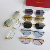 Cartier Fashion Versatile Glasses Model: CT0496S Size: 59-17-140