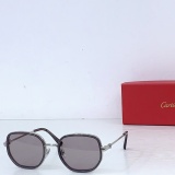 Cartier Fashion Personalized Versatile Glasses Model: CT0806S Size: 55-21-142