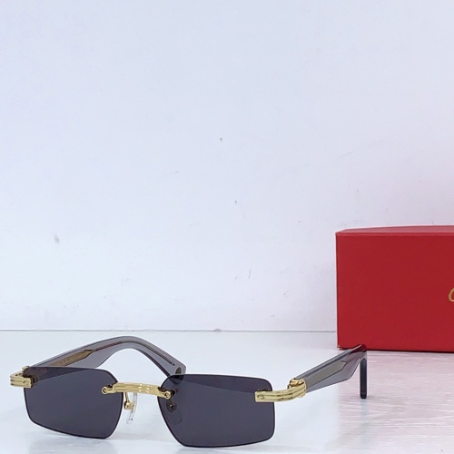 Cartier Fashion Personalized Versatile Glasses Model: CT0537S Size: 145