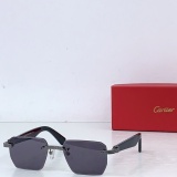 Cartier Fashion Personalized Versatile Glasses Model: CT0539S Size: 145