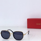 Cartier Fashion Personalized Versatile Glasses Model: CT0806S Size: 55-21-142