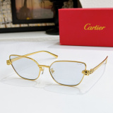 Cartier Fashion Versatile Glasses Model: CT0495S Size: 60-17-140
