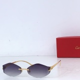 Cartier Fashion Personalized Versatile Glasses Model: CT02041O Size: 60-17-135