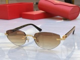 Cartier Fashion Versatile Glasses Model: CT0592S Size: 55-20-140