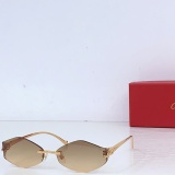Cartier Fashion Personalized Versatile Glasses Model: CT02041O Size: 60-17-135