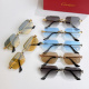 Cartier Fashion Personality Versatile Frameless Glasses Model: CT0804