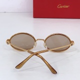 Cartier Fashion Personalized Versatile Glasses Model: CT0807S Size: 54-21-142