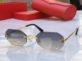 Cartier Fashion Versatile Glasses Model: CT0599S Size: 56-20-145