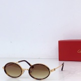 Cartier Fashion Personalized Versatile Glasses Model: CT0807S Size: 54-21-142