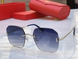 Cartier Fashion Versatile Glasses Model: CT0591S Size: 55-19-140