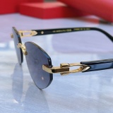 Cartier Fashion Versatile Glasses Model: CT0592S Size: 55-20-140