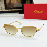 Cartier Fashion Versatile Glasses Model: CT0495S Size: 60-17-140