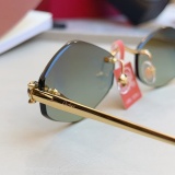 Cartier Fashion Personalized Versatile Glasses Model: CT0433S Size: 55-20-140
