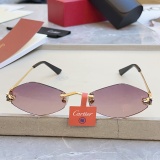 Cartier Fashion Personalized Versatile Glasses Model: CT0433S Size: 55-20-140