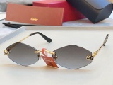 Cartier Fashion Personalized Versatile Glasses Model: CT0433S Size: 55-20-140