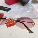 Cartier Fashion Personalized Versatile Glasses Model: CT0433S Size: 55-20-140